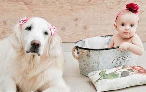 Girl Names 2016 • Emma 
